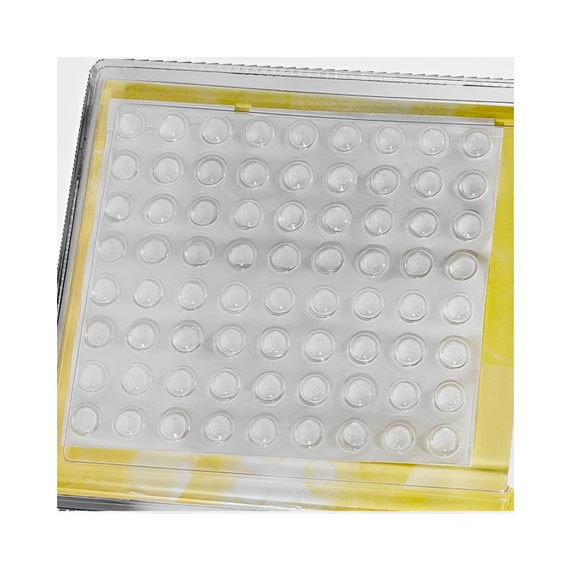 Pastilles tactiles pour malvoyants | Vision & Vie Antilles
