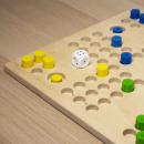 Petits chevaux tactiles pour non-voyants | Vision & Vie